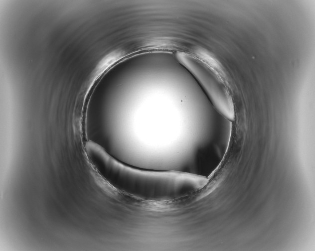 X0000087051330200705021149