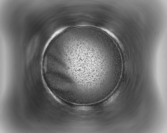 X0000087051333200705021149