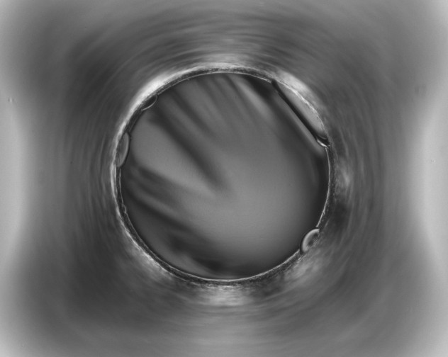 X0000087051334200705021149