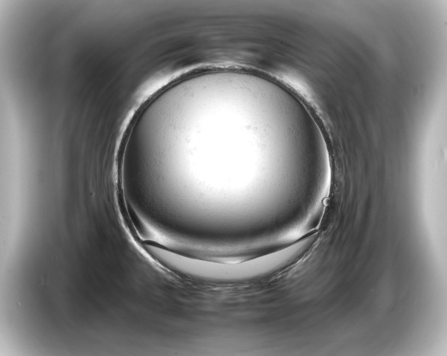 X0000087051335200705021149