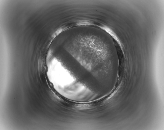 X0000087051337200705021149