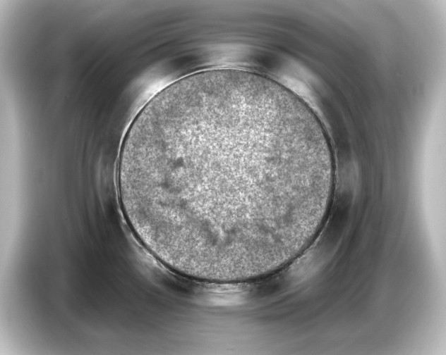 X0000087051338200705021149