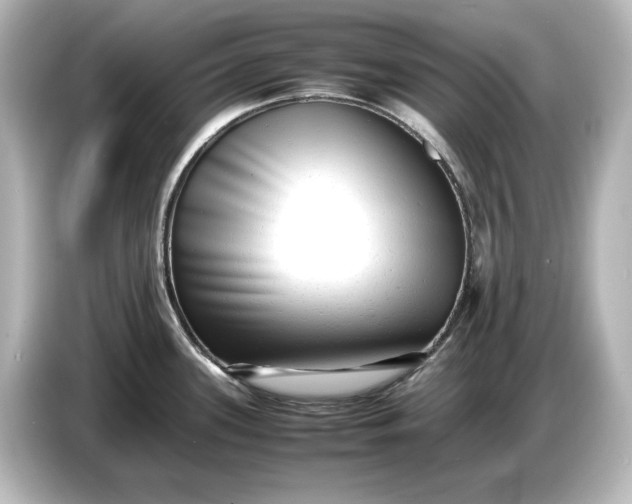 X0000087051339200705021149