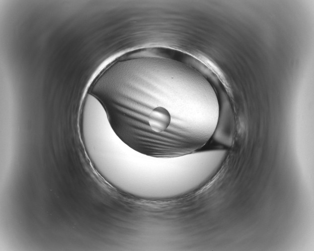 X0000087051340200705021149