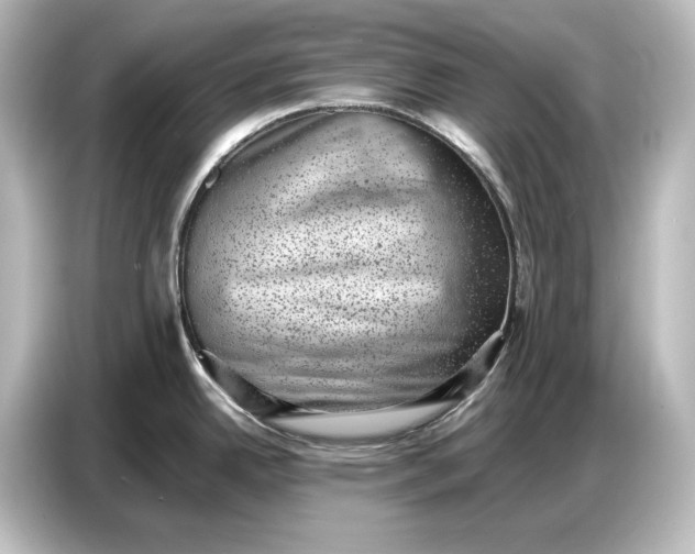 X0000087051342200705021149