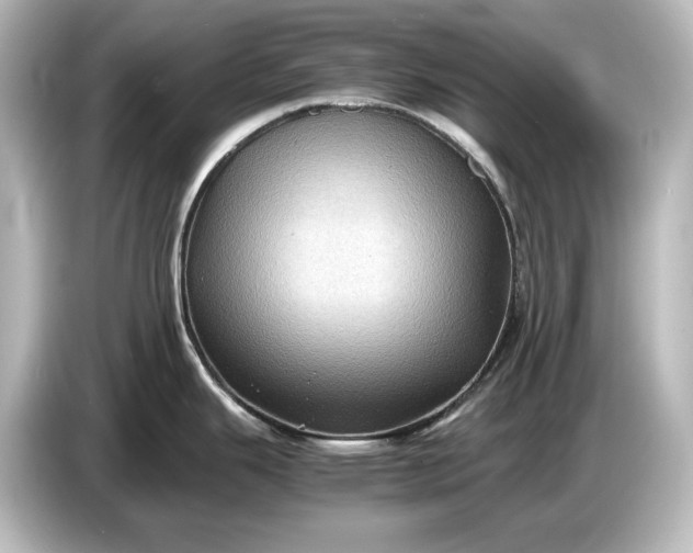 X0000087051343200705021149