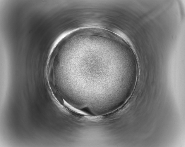 X0000087051344200705021149