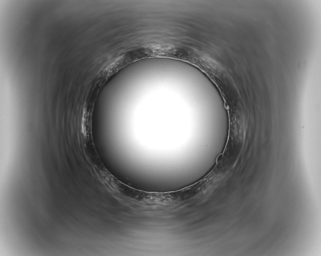 X0000087051346200705021148