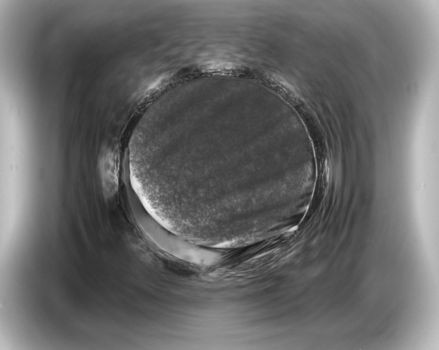 X0000087051348200705021148