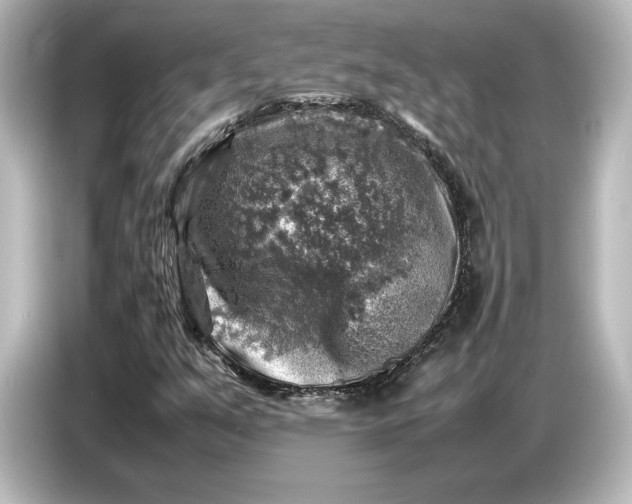 X0000087051351200705021148