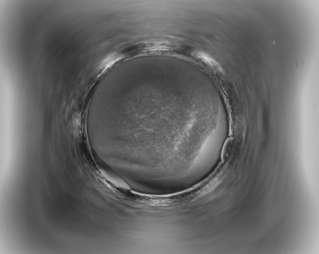 X0000087051353200705021148