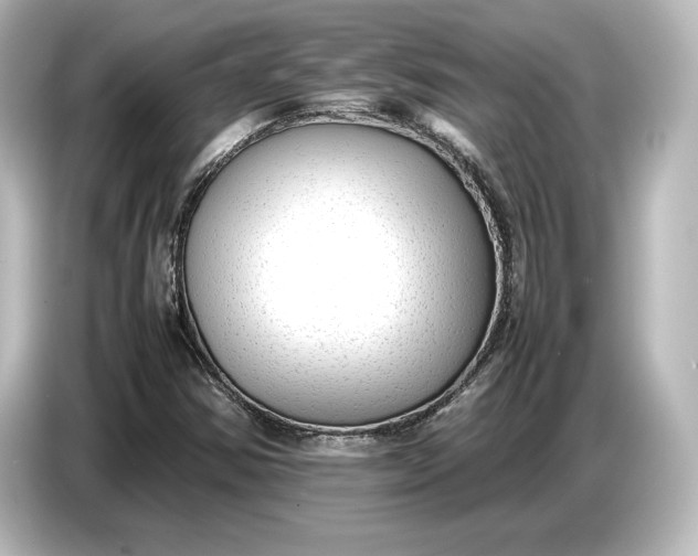 X0000087051354200705021148