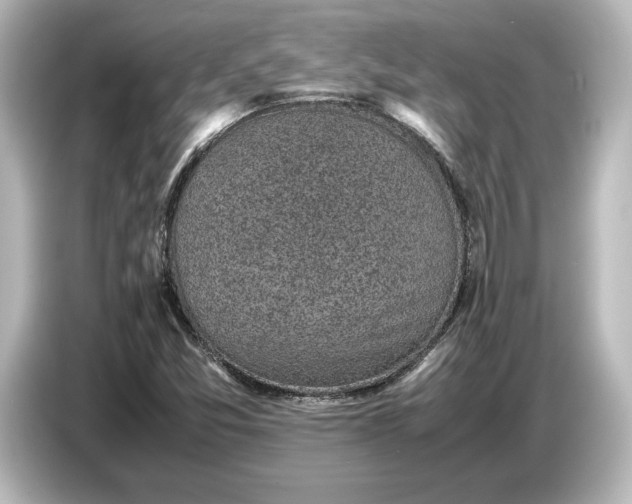 X0000087051357200705021148