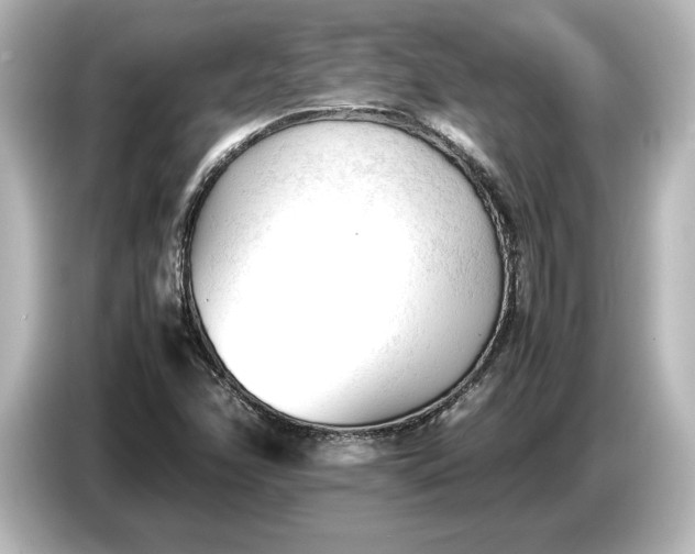 X0000087051358200705021148