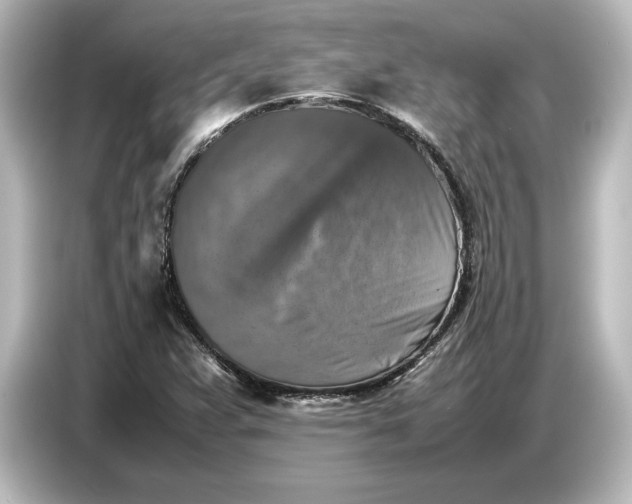 X0000087051359200705021148