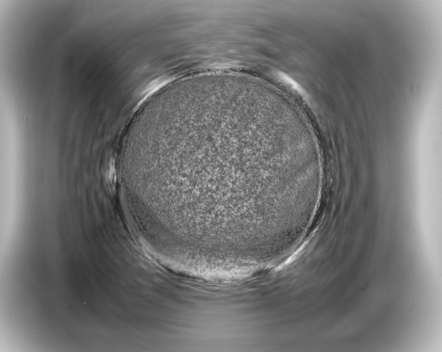 X0000087051361200705021148