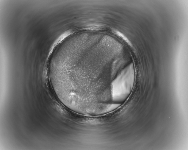 X0000087051362200705021148