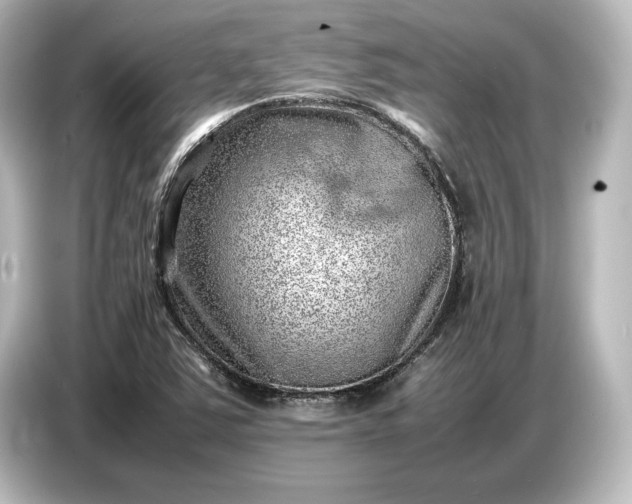 X0000087051363200705021148