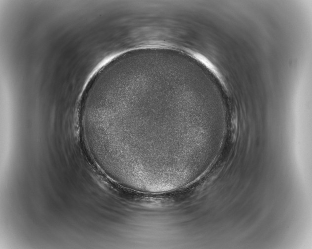 X0000087051364200705021148