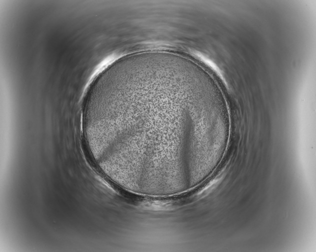 X0000087051365200705021148