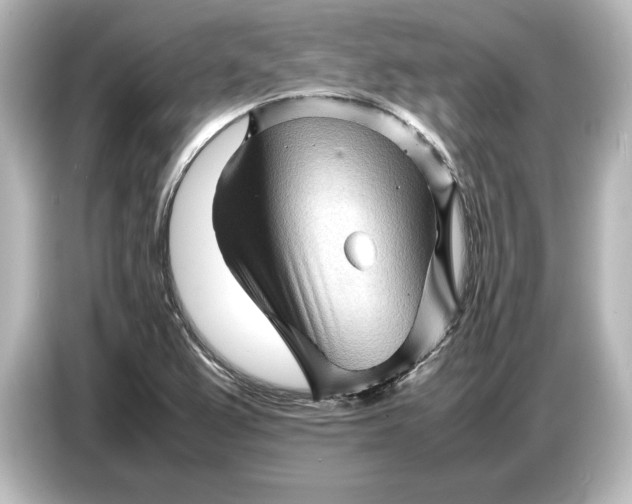 X0000087051367200705021148