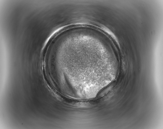 X0000087051368200705021148