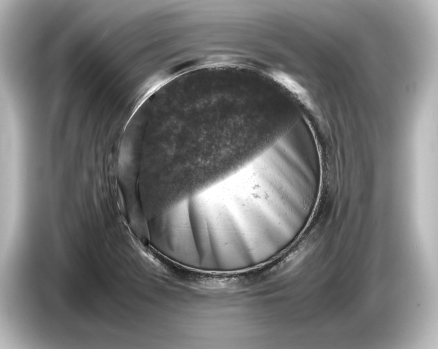 X0000087051369200705021148