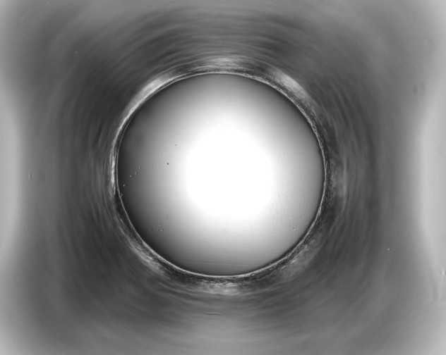 X0000087051370200705021148