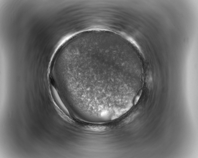 X0000087051372200705021148