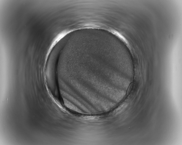 X0000087051373200705021148