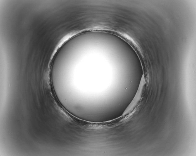 X0000087051374200705021148