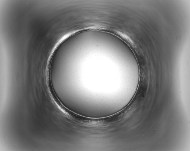 X0000087051375200705021148