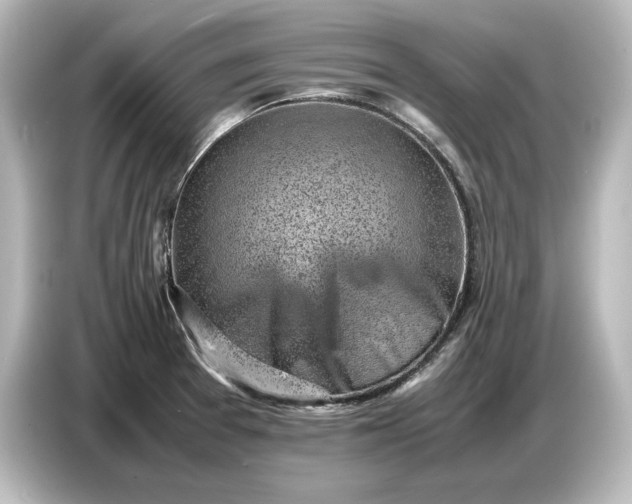 X0000087051377200705021148