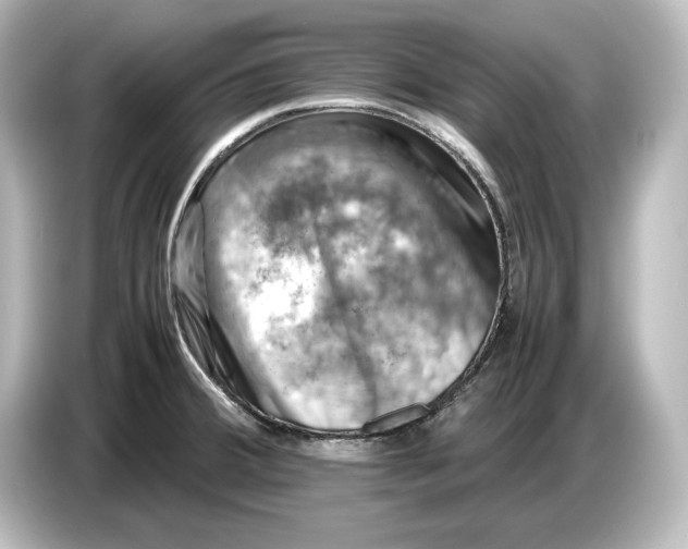 X0000087051380200705021148