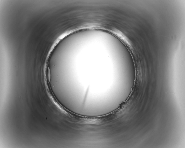 X0000087051382200705021148