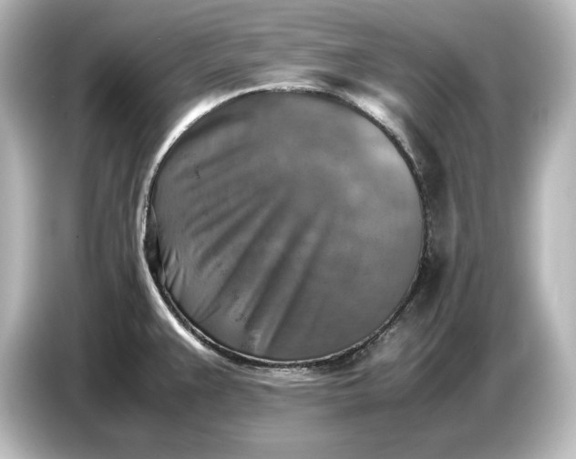 X0000087051383200705021148