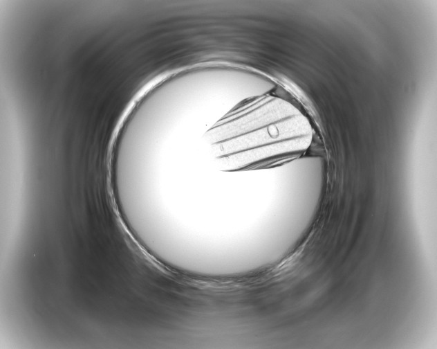 X0000087051384200705021148