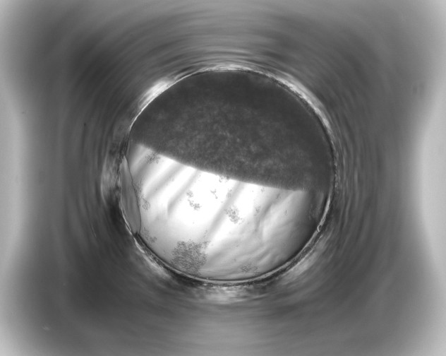 X0000087051385200705021148