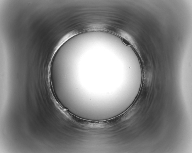 X0000087051386200705021148