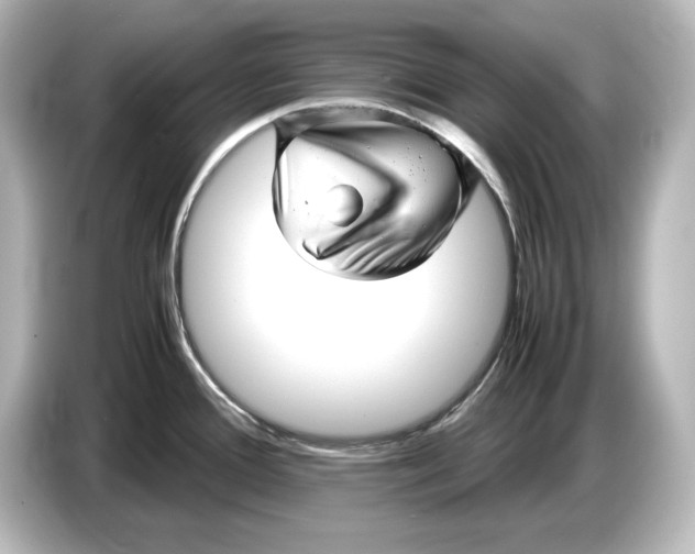 X0000087051388200705021148