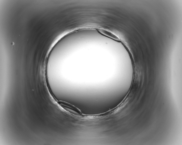 X0000087051390200705021148