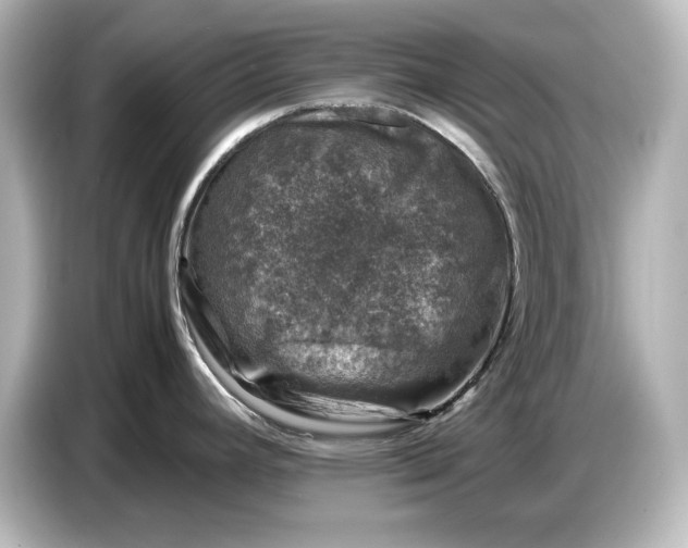 X0000087051392200705021148