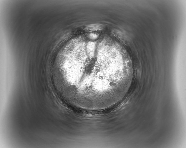 X0000087051393200705021147