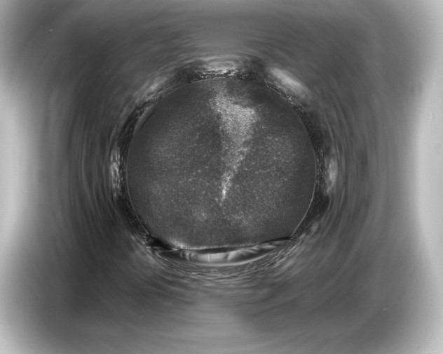 X0000087051394200705021147