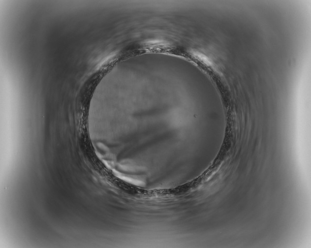 X0000087051399200705021147