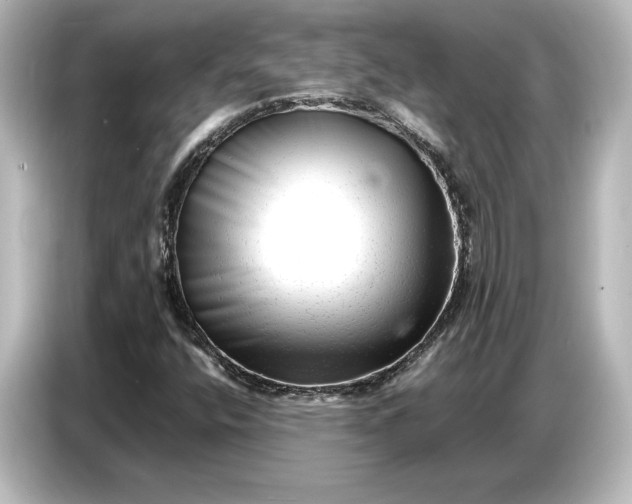 X0000087051400200705021147