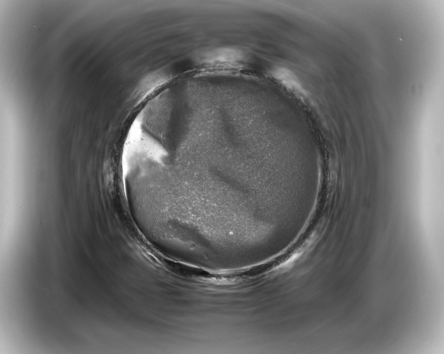 X0000087051401200705021147