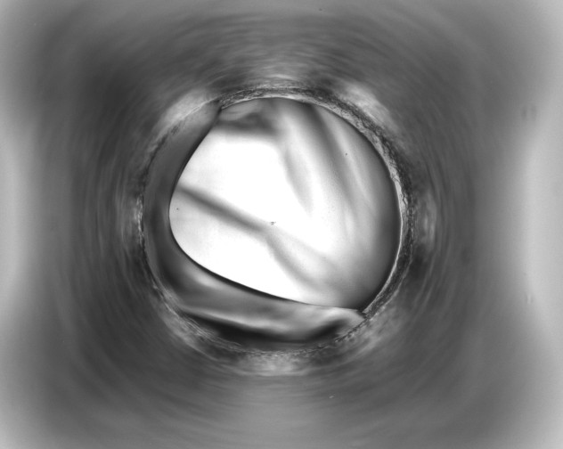 X0000087051402200705021147