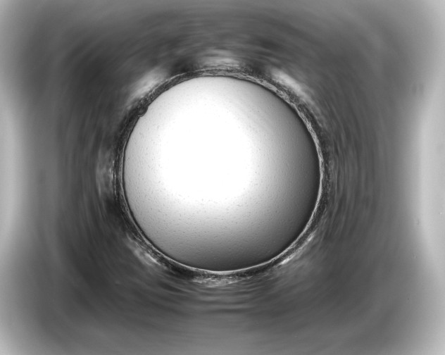 X0000087051403200705021147