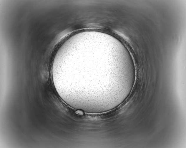 X0000087051407200705021147